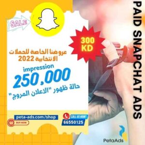 2022 Paid Snapchat ads 250